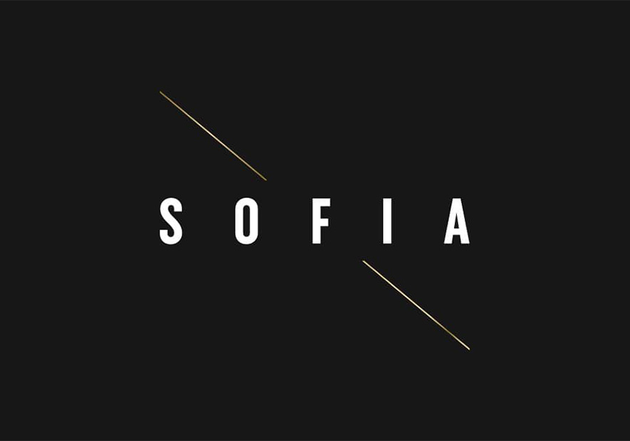 多面魅力的酒店集團(tuán)標(biāo)志vi設(shè)計(jì)欣賞-朗睿廣告設(shè)計(jì)公司.jpg 多面魅力的酒店集團(tuán)標(biāo)志vi設(shè)計(jì)欣賞-朗睿廣告設(shè)計(jì)公司.jpg