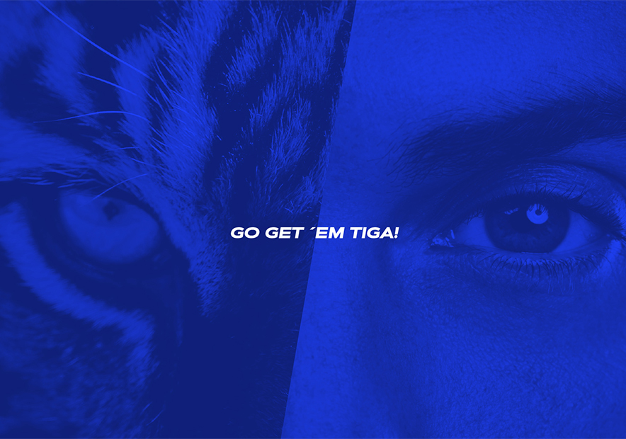 德國Tigacall軟件公司品牌VI設(shè)計與logo設(shè)計-朗睿廣告設(shè)計公司.jpg 德國Tigacall軟件公司品牌VI設(shè)計與logo設(shè)計-朗睿廣告設(shè)計公司.jpg