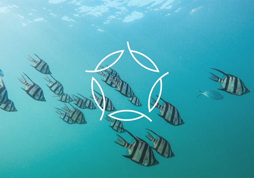 奇跡年(Wonder-Years)精神衛生中心新的logo和vi設計欣賞-朗睿品牌設計公司.jpg 奇跡年(Wonder-Years)精神衛生中心新的logo和vi設計欣賞-朗睿品牌設計公司.jpg