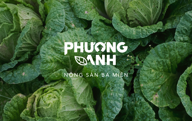 常州vi設(shè)計(jì)作品.png 常州vi設(shè)計(jì)作品.png