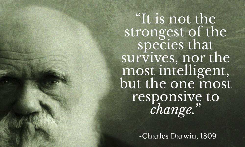 1646277945248462.jpg 蘇州網(wǎng)頁vi設(shè)計排行公司-電商商店品牌VI分步指南.jpg